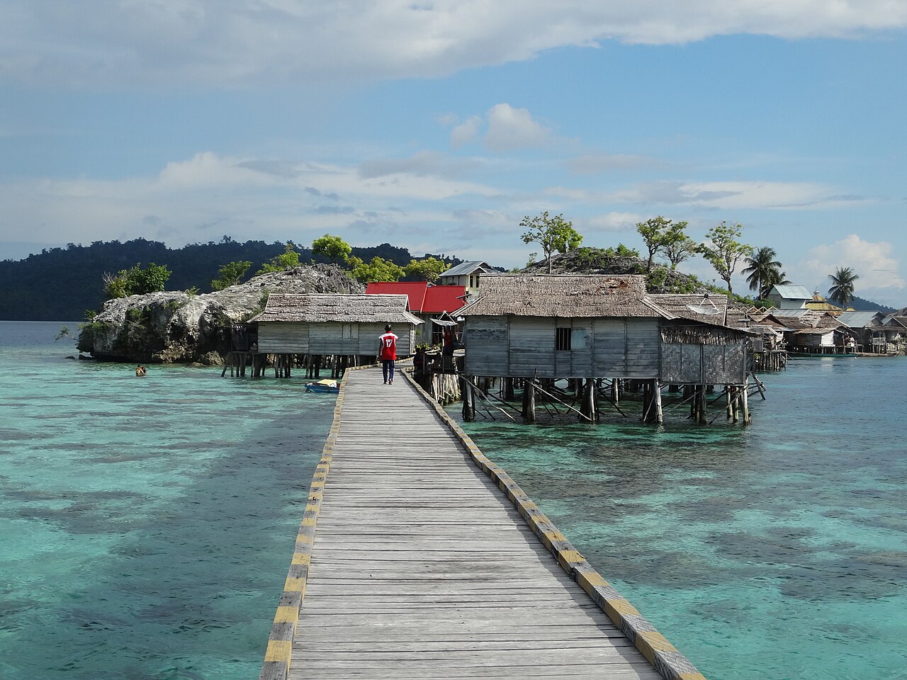Bajau sea nomads evolved bigger spleens for free diving