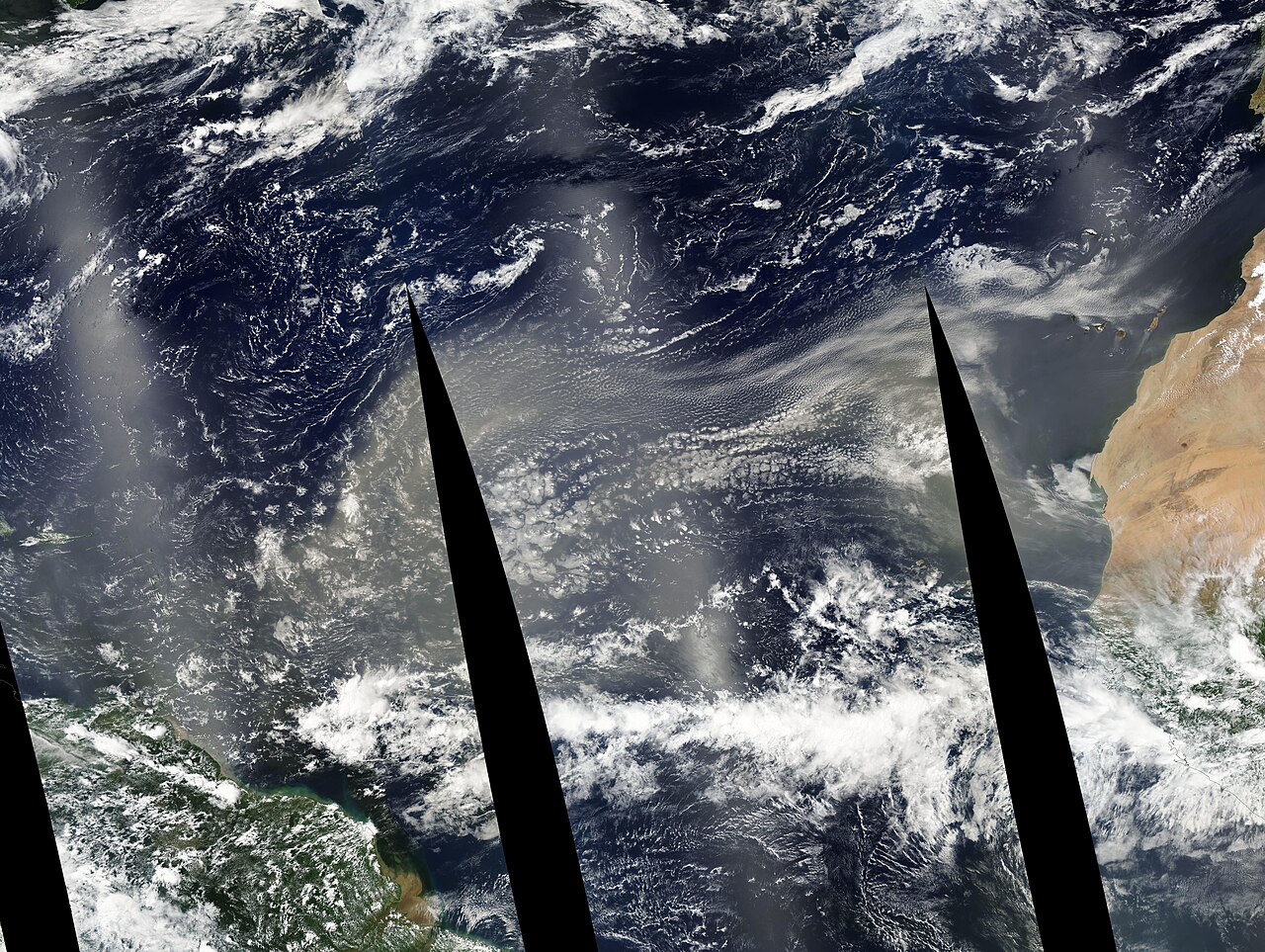 The Sahara sends the Amazon about 22,000 tonnes of phosphorus a year
