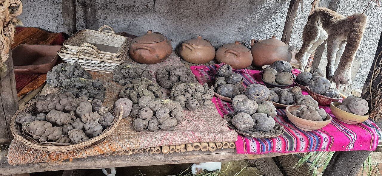 Peru grows more than 3,000 kinds of potato