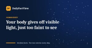 Your body gives off visible light, just too faint to see